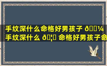 手纹深什么命格好男孩子 🐼 （手纹深什么 🦋 命格好男孩子命运）